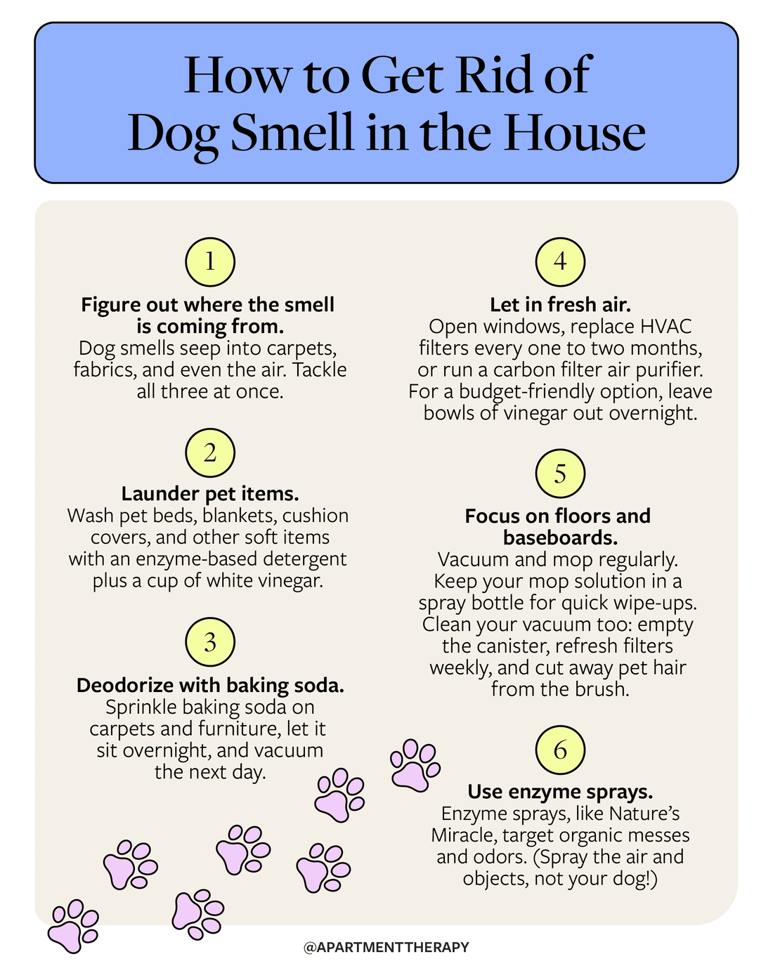 How to get rid of pet odor in house