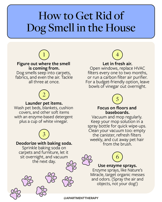 How to get rid of pet odor in house