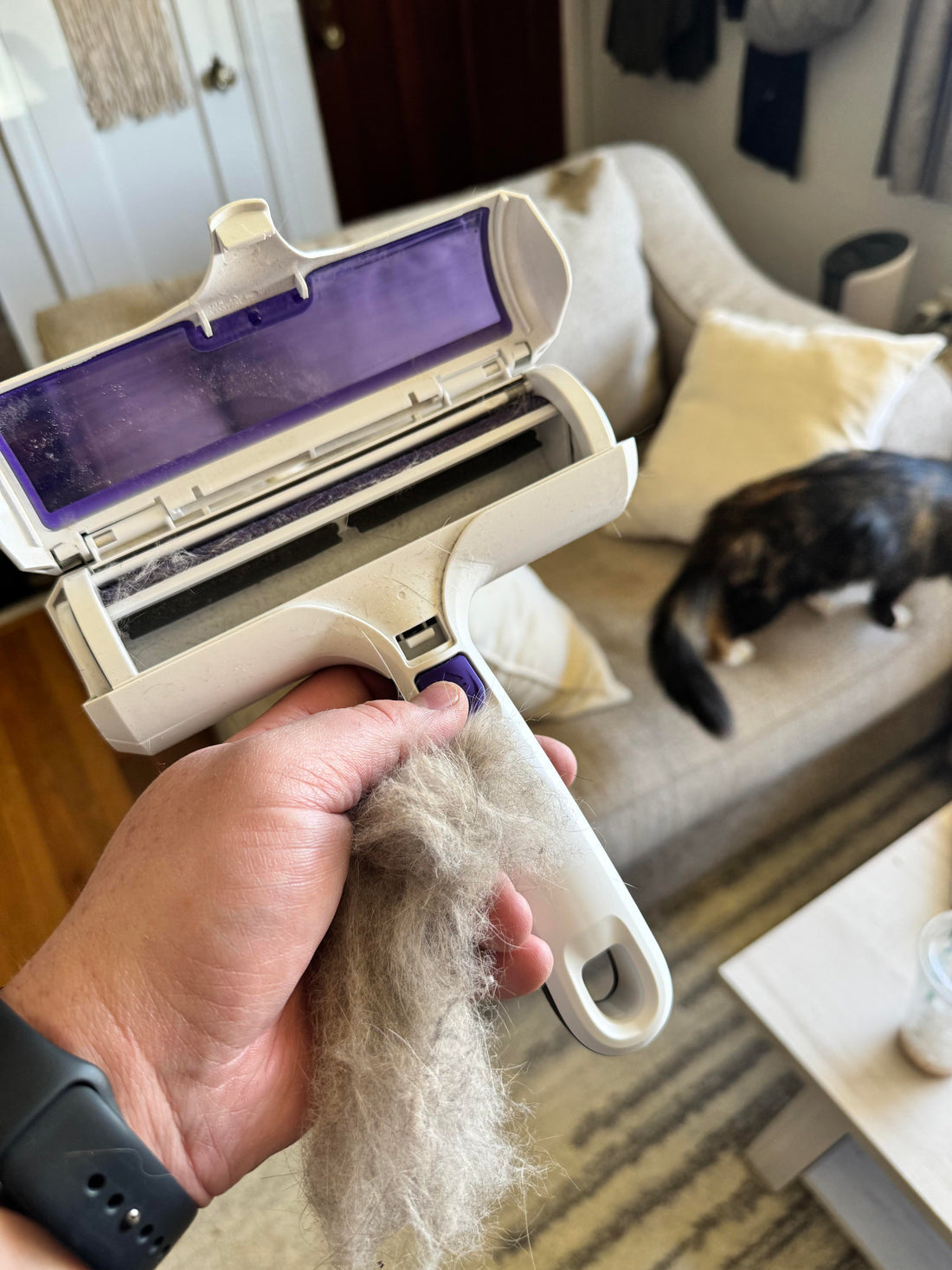 How To Remove Cat Hair From A Couch Without A Lint Roller