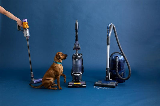 Best vacuum for pet hair and hardwood floors