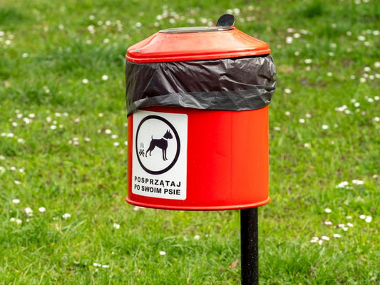 How Often Should a Healthy Dog Poop a Day?