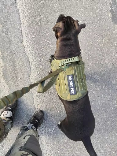 No more wrestling on the leash