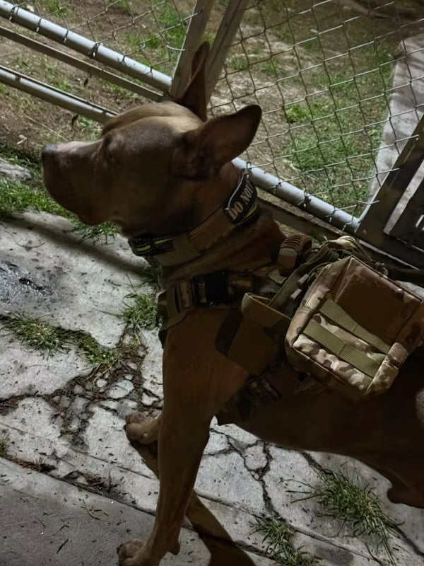 Helpful around the gate