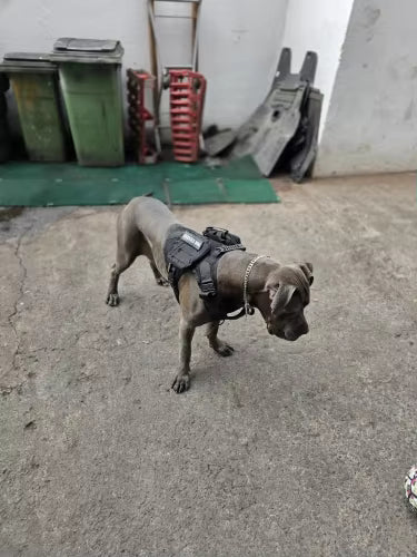Big difference on short walks