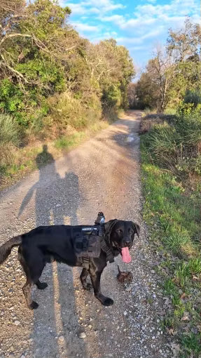 Great control on outdoor walks