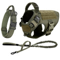 PetNest™ K9 Combo1