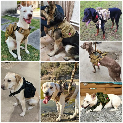 PetNest™ K9 Ultimate Control Set
