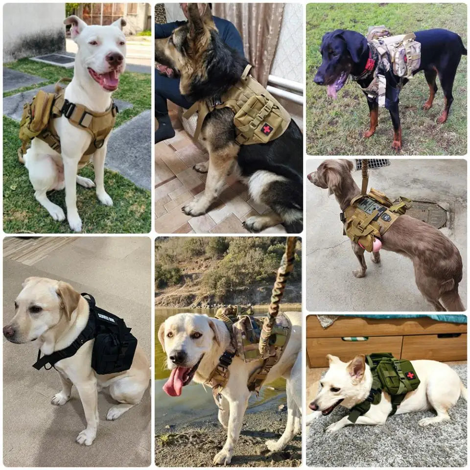 PetNest™ K9 Complete Control Set