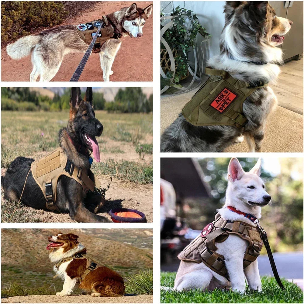 PetNest™ K9 Ultimate Control Set