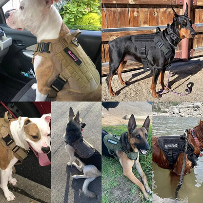 PetNest™ K9 Complete Control Set