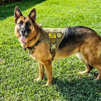 PetNest™ K9 Training Control Set