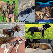 Dog Control Harness | PetNest™ K9 No-Pull Control Harness